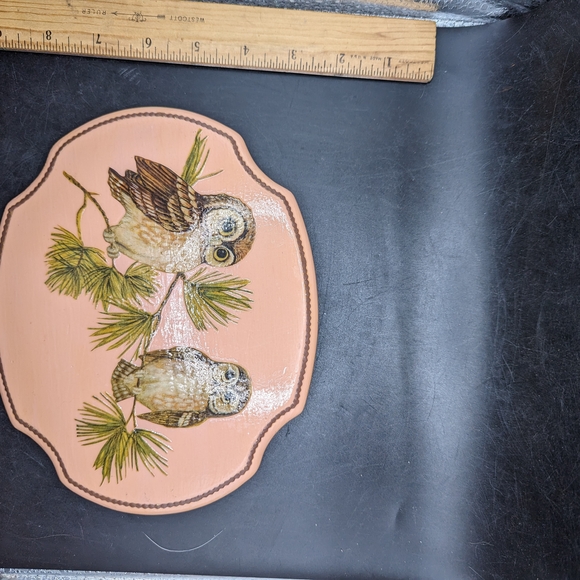 Vintage Owl Decorative Wall Hanging with Pine Branch Design - Picture 2 of 6